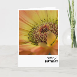 Alegria Brilhante - Cartão de Aniversário Floral