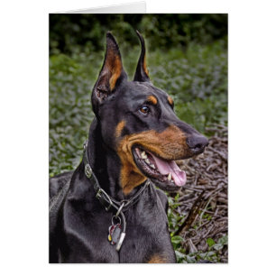 Alegria do Doberman! Cartão