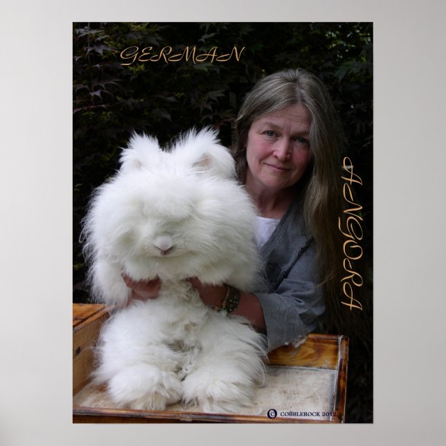 ALEMÃO ANGORA RABBIT ADD POSTER (Frente)