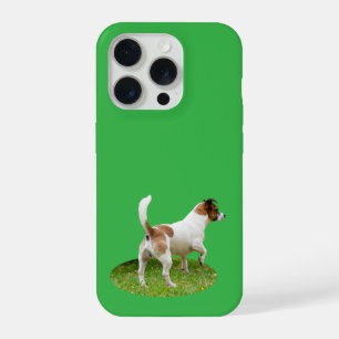 Alerta de Fox Terrier Miniatura,