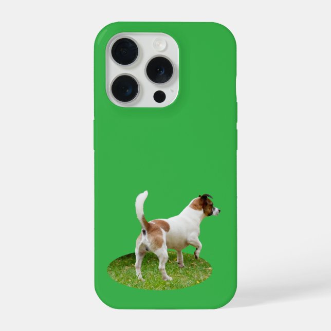 Alerta de Fox Terrier Miniatura,  (Verso)