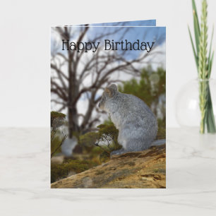 Alerta de Quokka australiano, Cartão de Aniversá