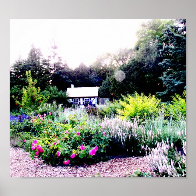 Algodão no Poster do Jardim Inglês (Frente)