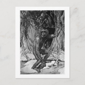 Alice B. Madeira: Cartão postal de arte Pliopithec