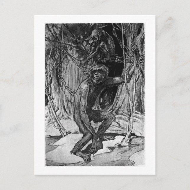 Alice B. Madeira: Cartão postal de arte Pliopithec (Frente)