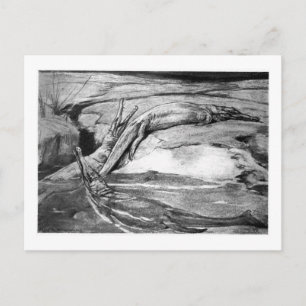 Alice B. Madeira: Cartão postal Metriorhynchus ar