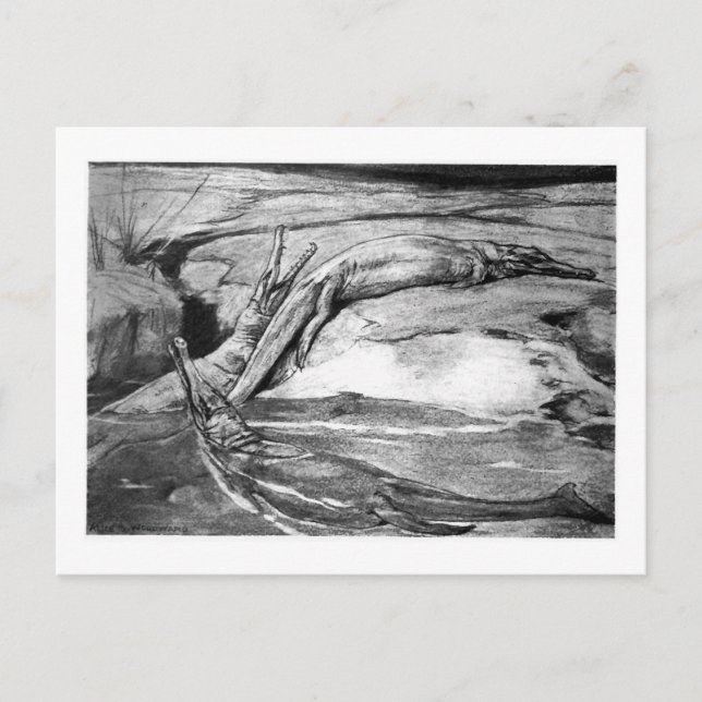 Alice B. Madeira: Cartão postal Metriorhynchus art (Frente)