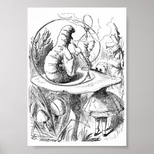 Alice conhece o Poster das lagartas