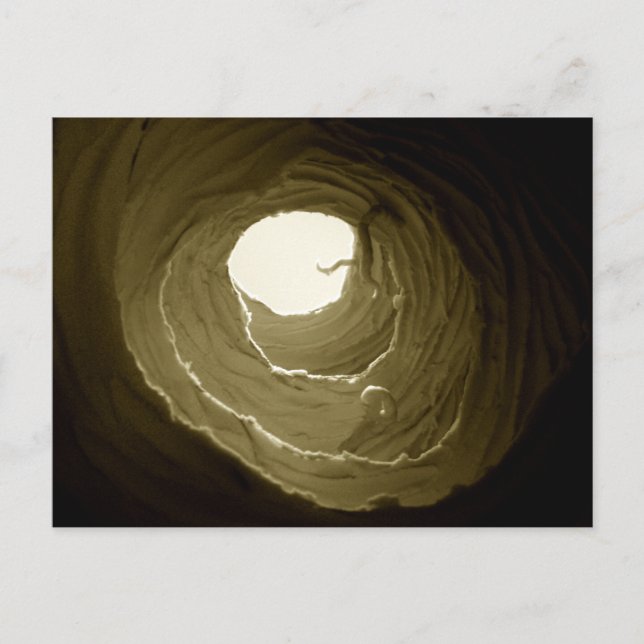 Alice no cartão do furo de coelho do país das (Frente)