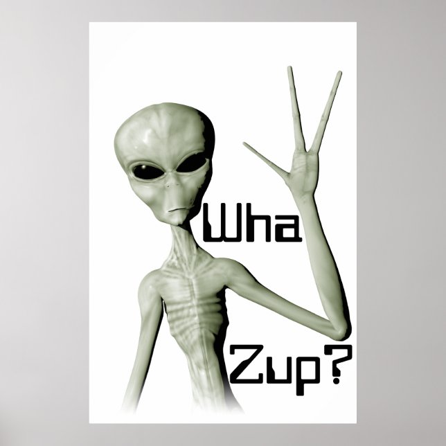 Alienígena O Que Zup? poster (Frente)
