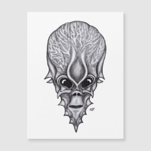 Alienígena, reconstrução facial do crânio africano