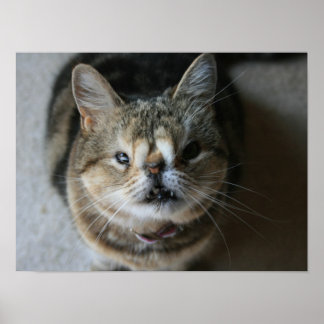 "Alimente-me" quase Poster