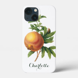 Alimento Antigo Fruta, Romã por Redoute