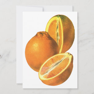 Alimentos Antigos, Laranjas Frescas Saudáveis Orgâ