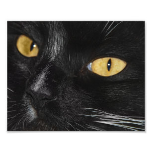 Alinhamento de Foto Preto Mais Negra