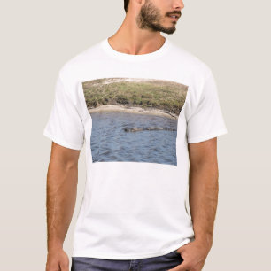 Alligador na Camisa de Água
