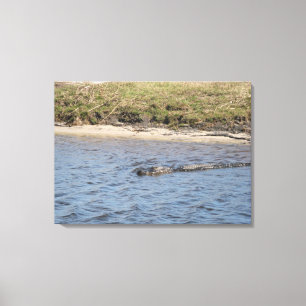 Alligador na Canvas de água