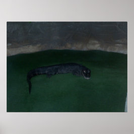 Alligador - O que há na Escuridão? ~ POSTER / IMPR