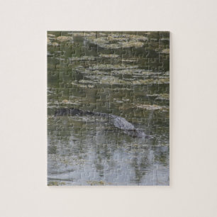 Alligator Jigsee Quebra-cabeça