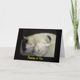 Allis & Abbie que pensam de você cartão