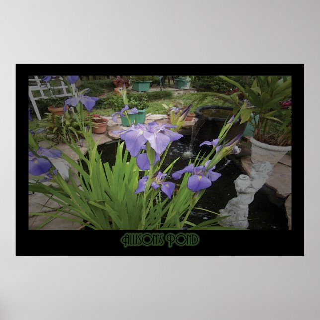 "Allison's Pond" - Impressão (Frente)