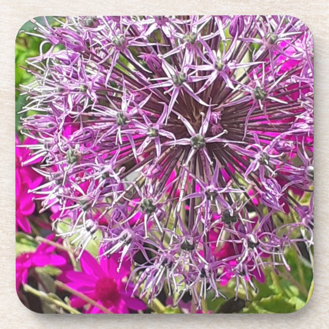 Allium & Summer Flowers Porta copos de plástico (Frente)