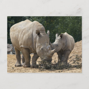 Almoço com cartão postal de Mãe