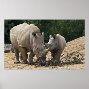 Almoço com Impressão de Mãe