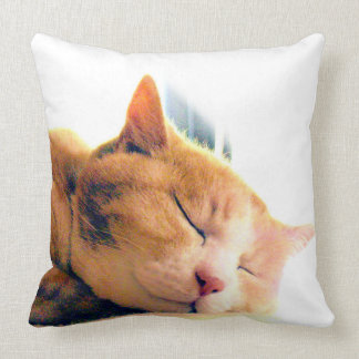 ALMOFADA うちのかわいこちゃんのクッション