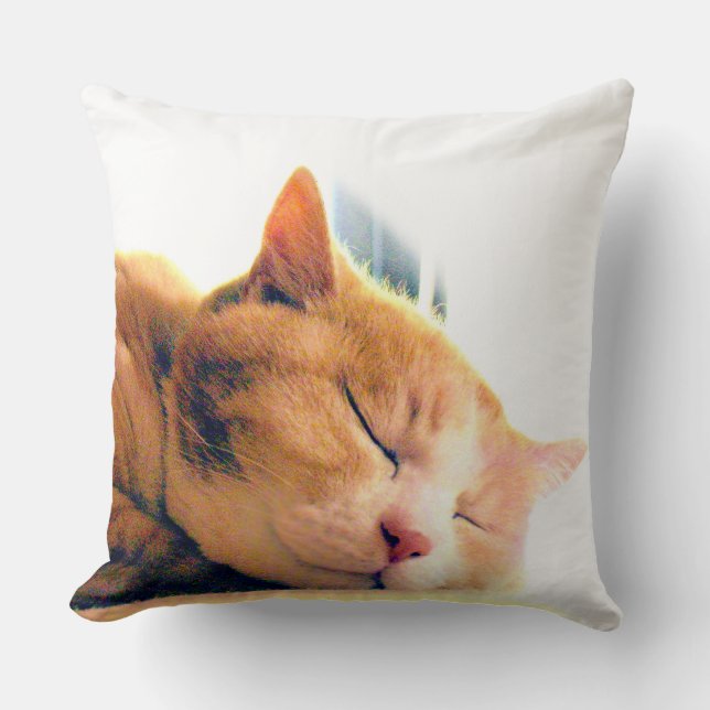 ALMOFADA うちのかわいこちゃんのクッション (Frente)