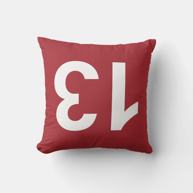 ALMOFADA 13. (Frente)