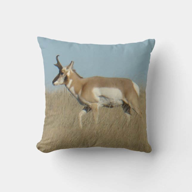 Almofada A45b Pronghorn Antelope Buck (Frente)