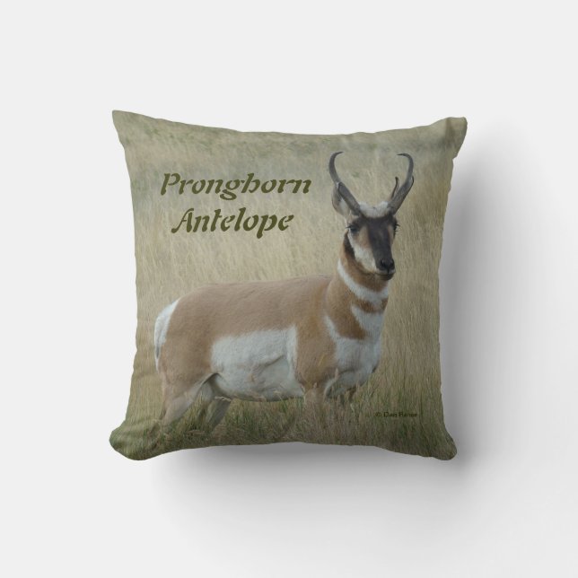 Almofada A8 Pronghorn Antelope Big Buck (Frente)