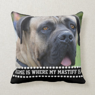 Almofada A casa das citações do cão do Mastiff da foto 