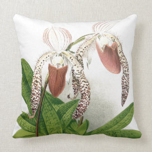 Almofada A orquídea botânica do Cypripedium floresce o