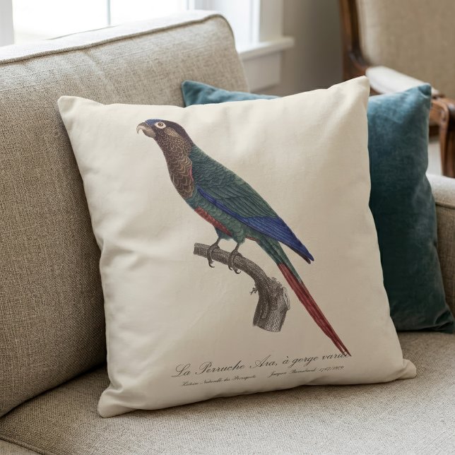 Almofada A periquita Ara, de garganta variada  (The Painted Parakeet, Pyrrhura Picta. Throw Pillow)