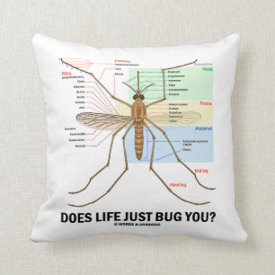 Almofada A vida apenas desinseta-o? (Anatomia do mosquito)