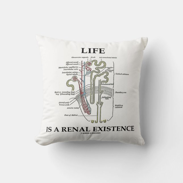Almofada A vida é uma existência renal (rim Nephron) (Frente)
