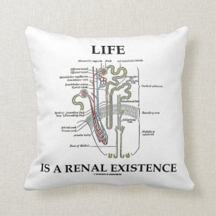 Almofada A vida é uma existência renal (rim Nephron)
