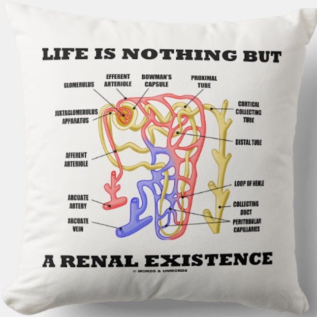 Almofada A vida não é nada mas uma existência renal (Kidney's nephron throw pillow with the nephrology sentiment "Life Is Nothing But A Renal Existence")