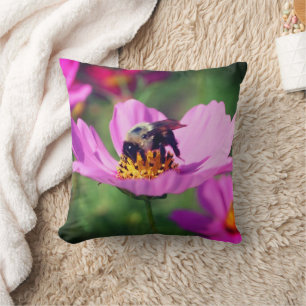 Almofada Abelha-Bumble No Cosmos Rosa Flower Feche-Se