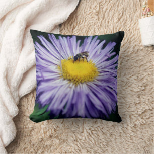 Almofada Abelha Pequena Na Flor Aster Roxo