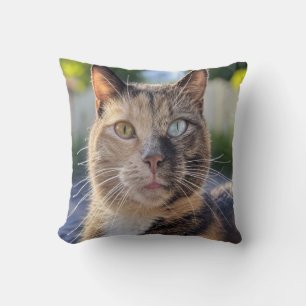 Almofada Adicionar Personalização de Foto de Cat