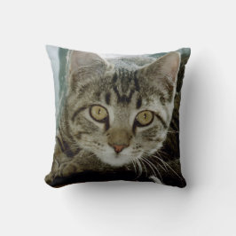 Almofada Adicione seu travesseiro favorito das fotos r1 do