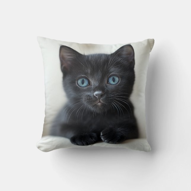 Almofada Adorable Black Kitten with Striking Blue Eyes Port (Frente)