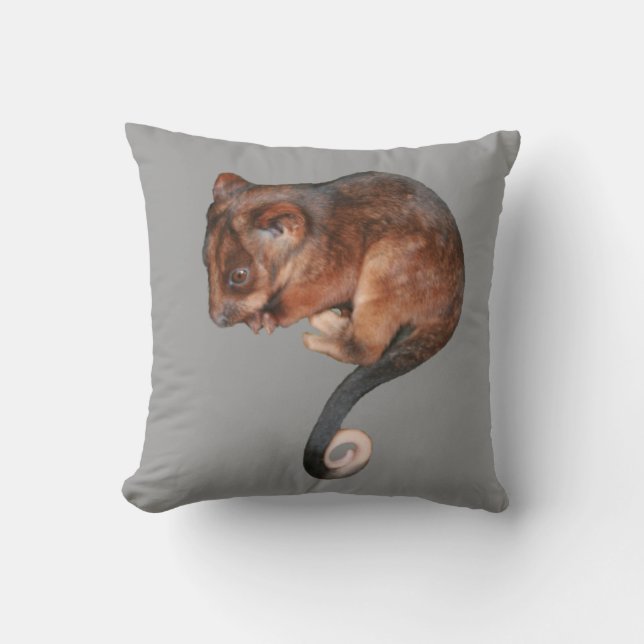 Almofada Adorável Baby Ringtail Possum na Austrália (Frente)