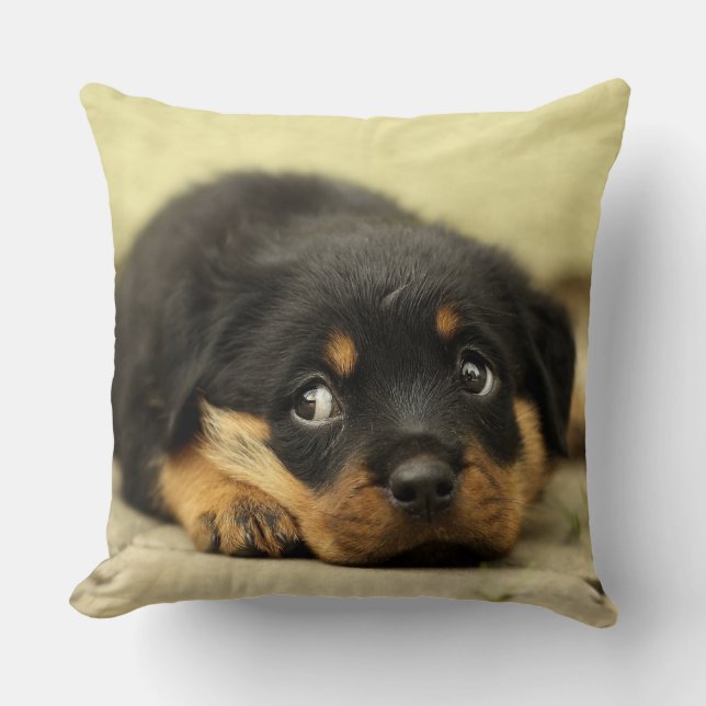 Almofada Adorável cachorrinho Rottweiler (Frente)
