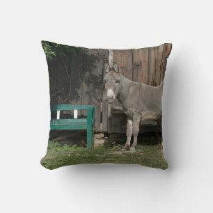Almofada Adorável Donkey Ao Lado De Wooden Green Bench