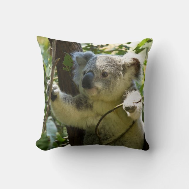 Almofada Adorável Koala Em Eucalyptus Tree Joga Cushion (Frente)