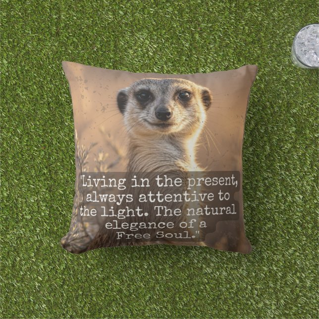 Almofada Adventurous Meerkat Living (Grama)